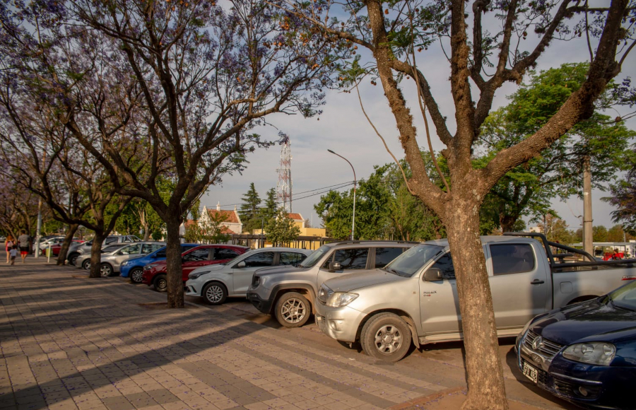 Sistema de Estacionamiento Medido: ya hay 50 puntos de venta y recarga