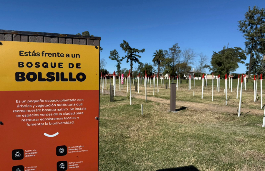 Jesús María plantó futuro: inauguró su Bosque de Bolsillo en el Parque Agua Mansa