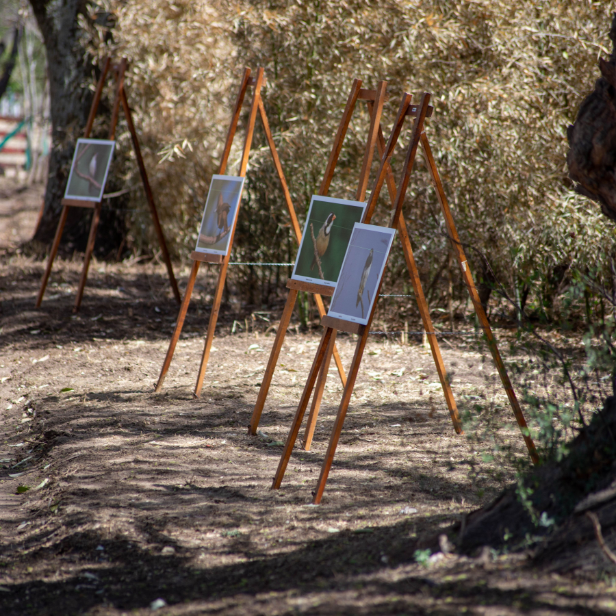 Exposición fotográfica en el Parque del Oeste 10.09