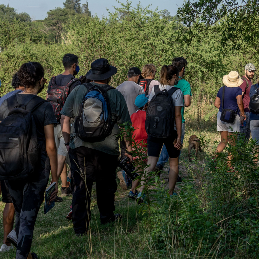 Caminatas guiadas en el Parque del Oeste 11.09