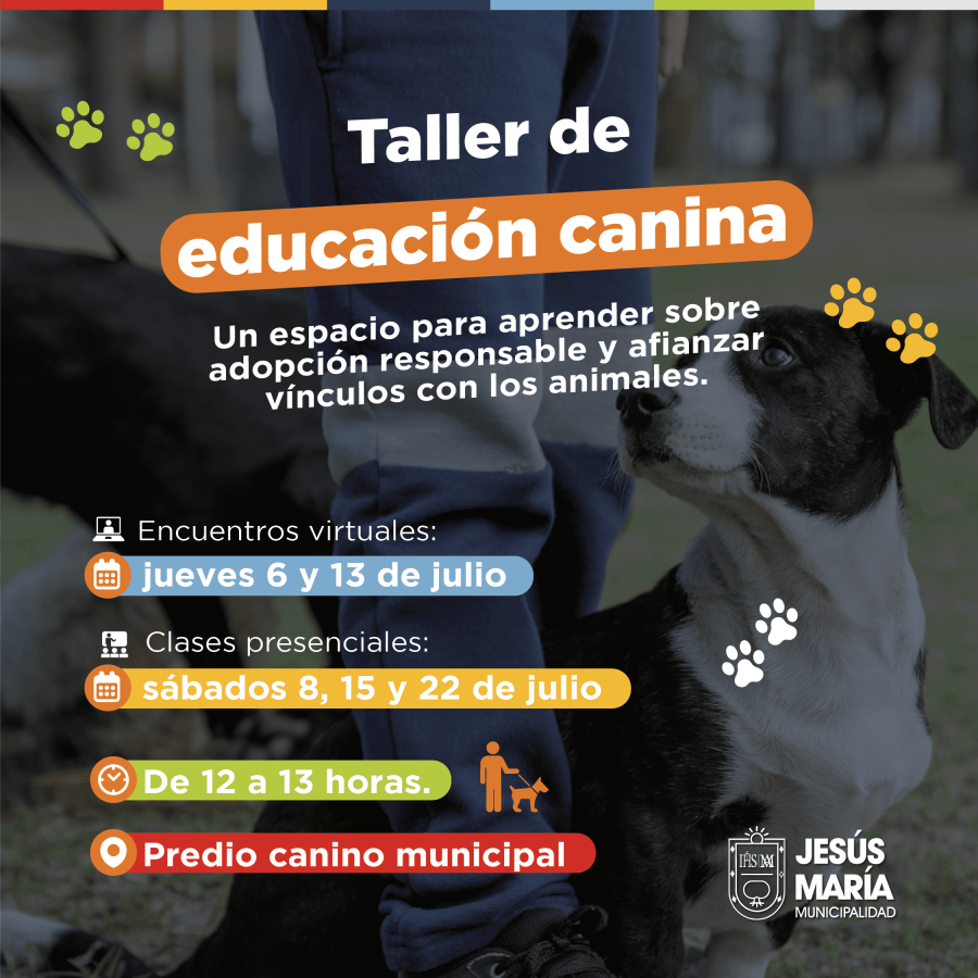 Taller de educación canina | 1° encuentro