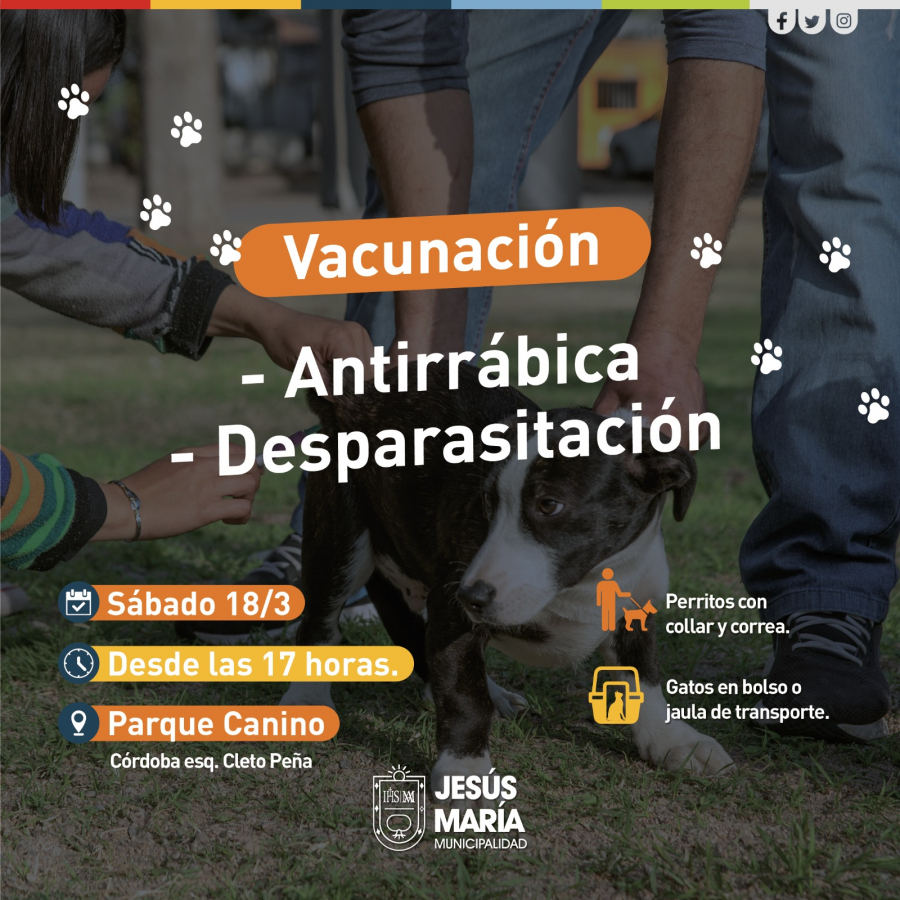 Jornada especial de vacunación antirrábica y desparasitación de mascotas en el Parque Canino