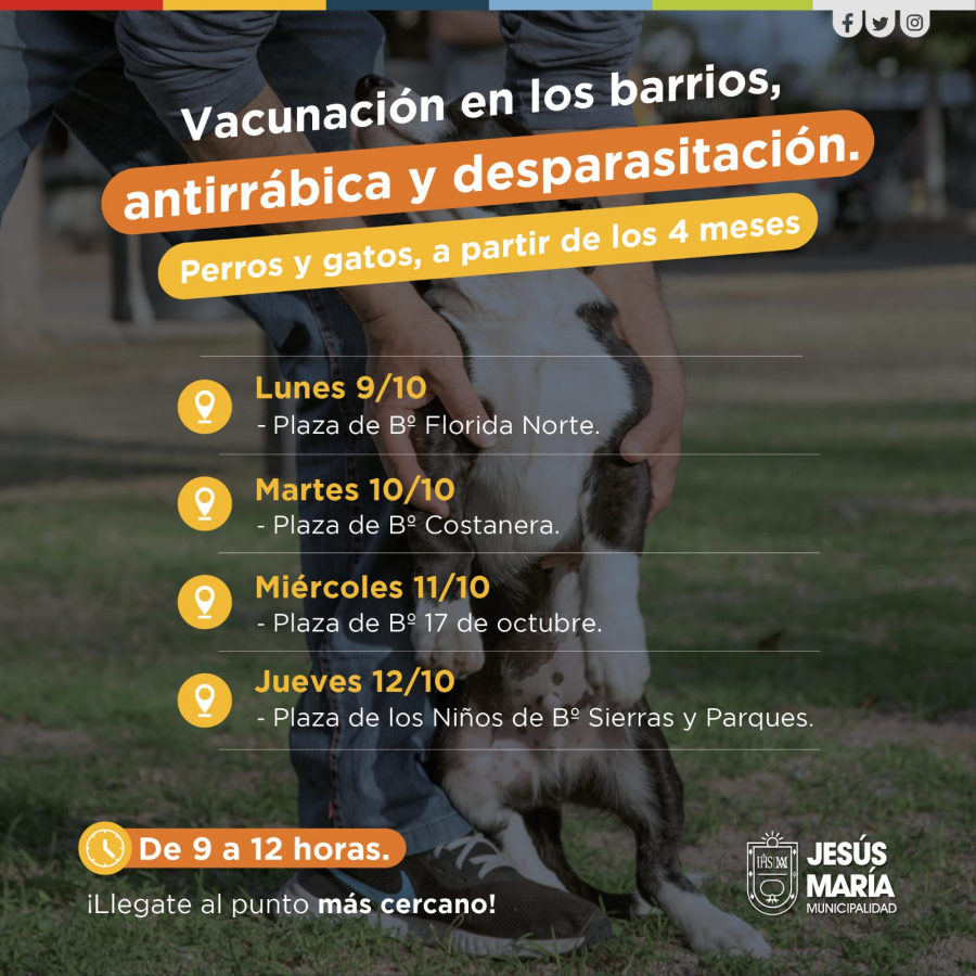 Vacunación antirrábica y desparasitación de mascotas