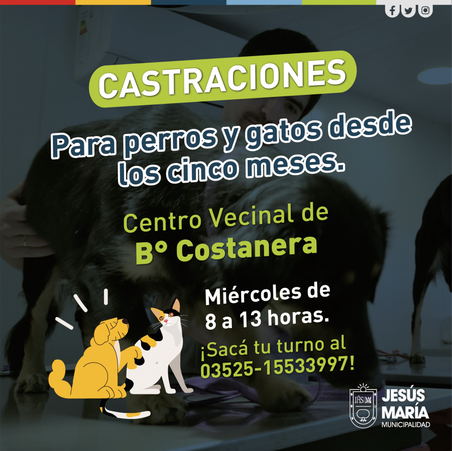 Castraciones gratuitas en Costanera 03.08