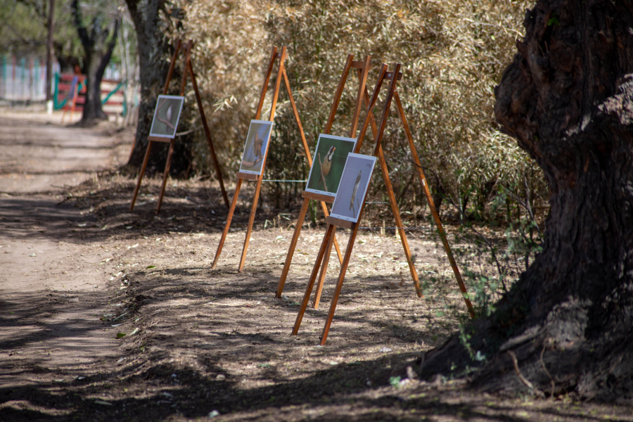 Exposición fotográfica en el Parque del Oeste 10.09