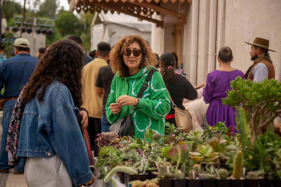 Paseo de artesanos y emprendedores / 22 y 23