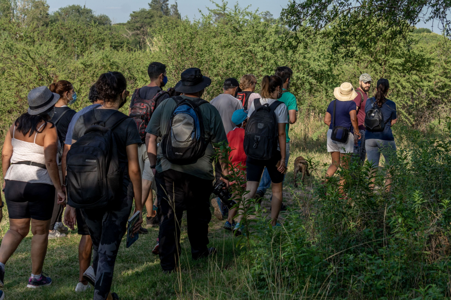 Caminatas guiadas en el Parque del Oeste 11.09