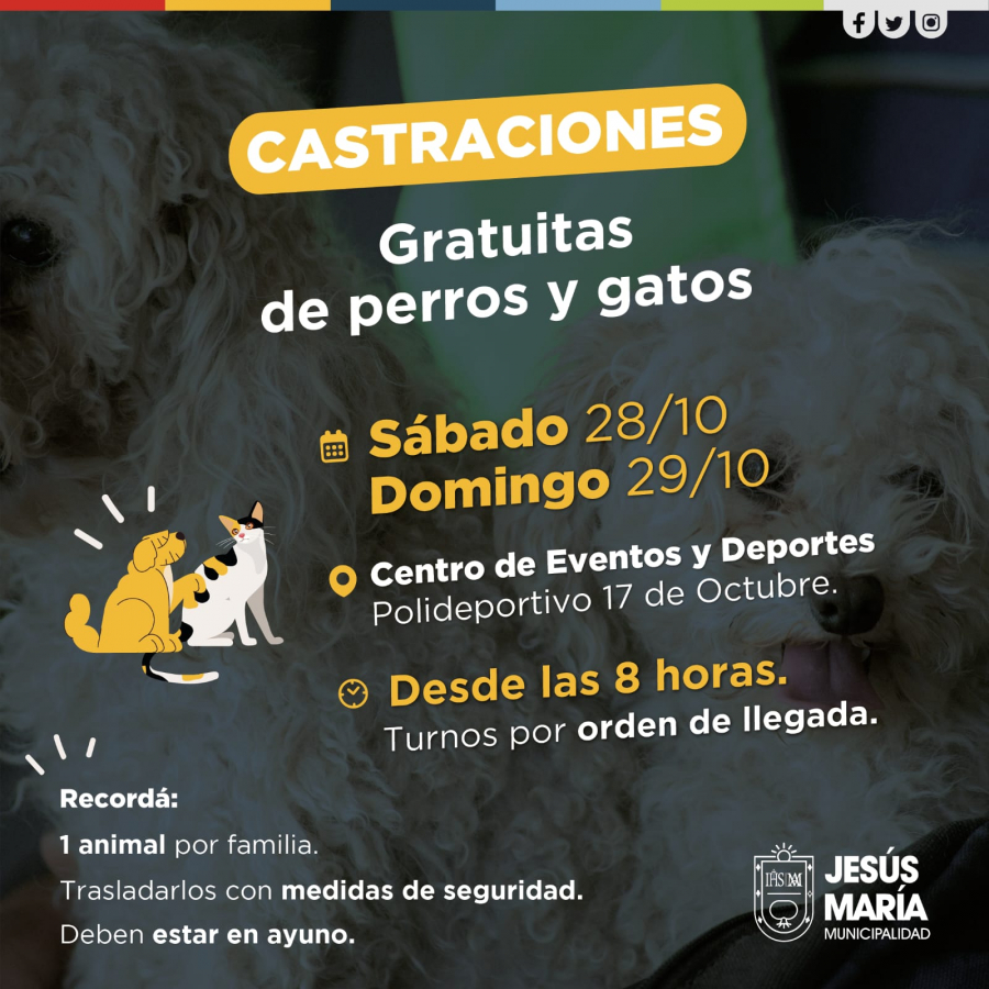 Jornadas de castraciones gratuitas