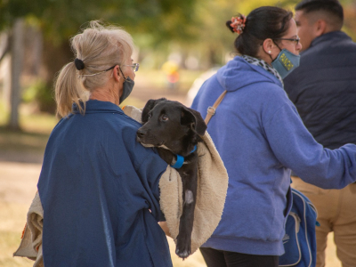 La Muni realiza castraciones gratuitas para perros y gatos en Sierras y Parques